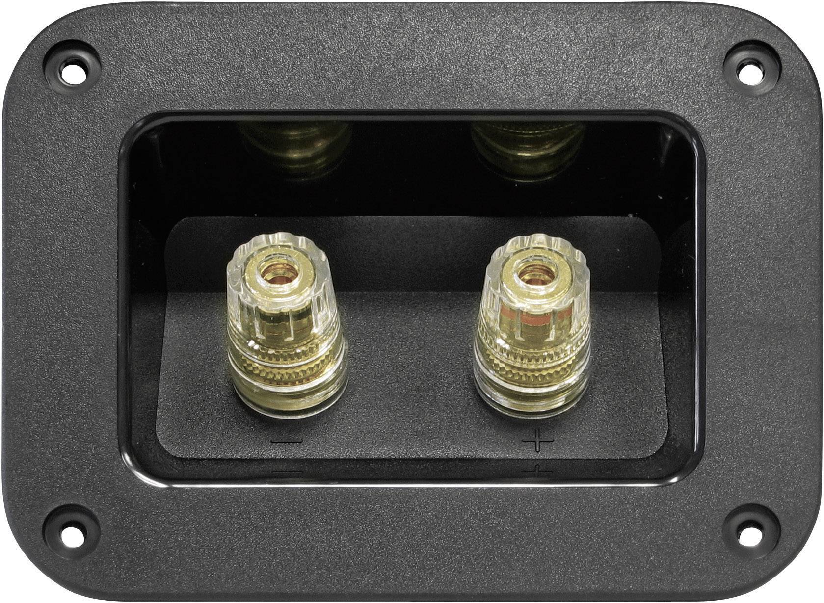 Collegamento a vite per altoparlante Dynavox 204610 1 pz.