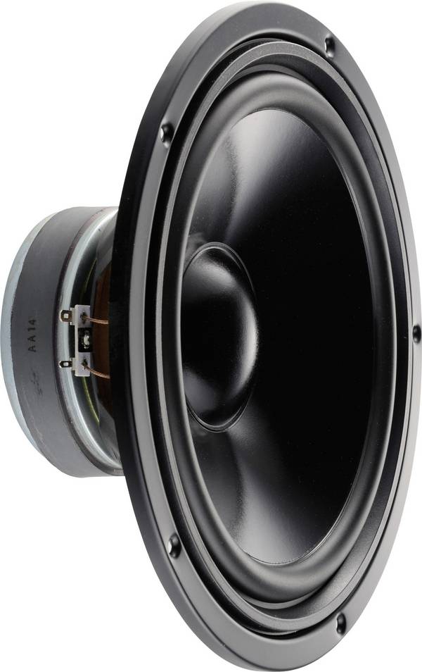Visaton W 250 S - 4 Ohm 10 palca 25.4 cm basový reproduktor 100 W 4 Ω