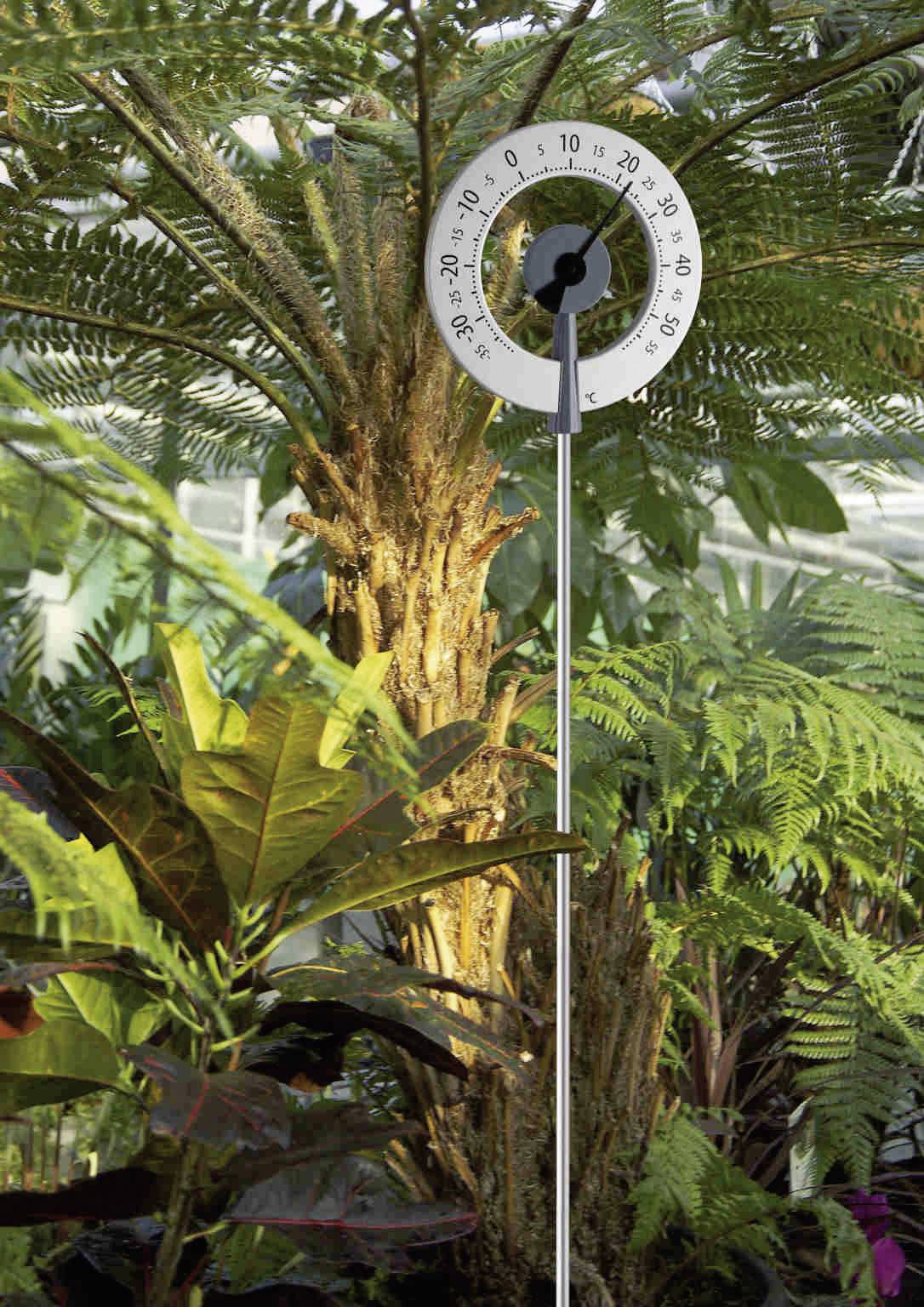 Teplomer pred tropickou rastlinou v skleníku ukazuje teplotu približne 24 stupňov Celzia.