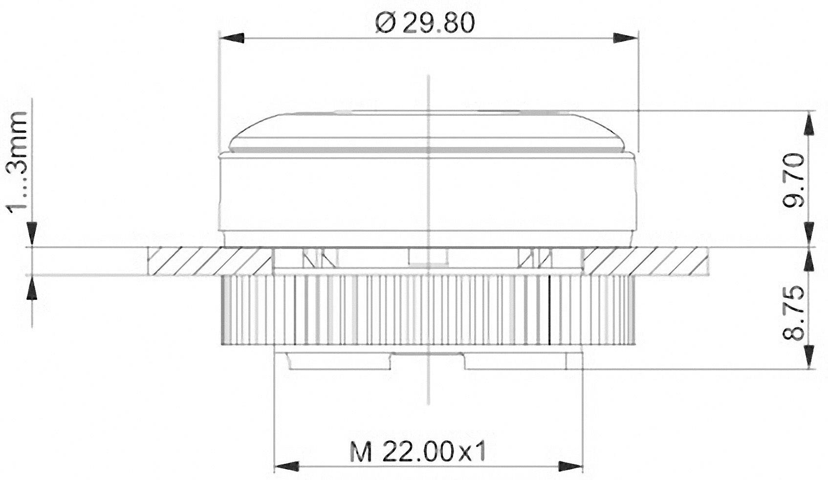 Technický výkres valcovej súčasti s rozmermi priemeru: Ø 29,80 mm a M 22,00 x 1. Bočné a výškové rozmery sú vyznačené.