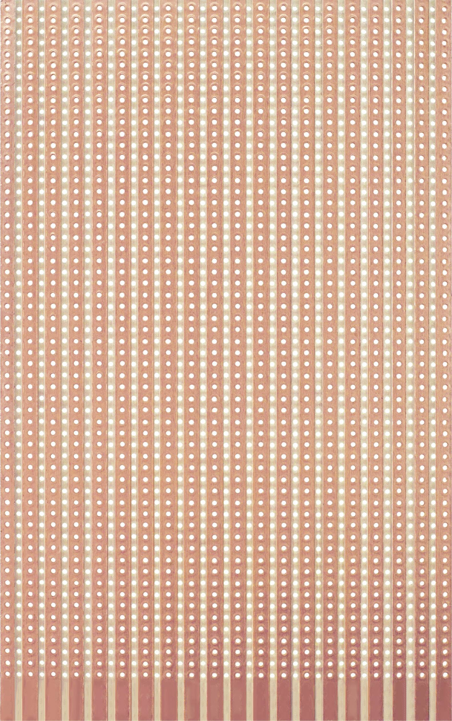 Rademacher WR-Typ 721 Scheda per esperimenti Carta laminata (L x L) 160 mm x 100 mm 35 µm Passo 5.08 mm Contenuto 1 pz.