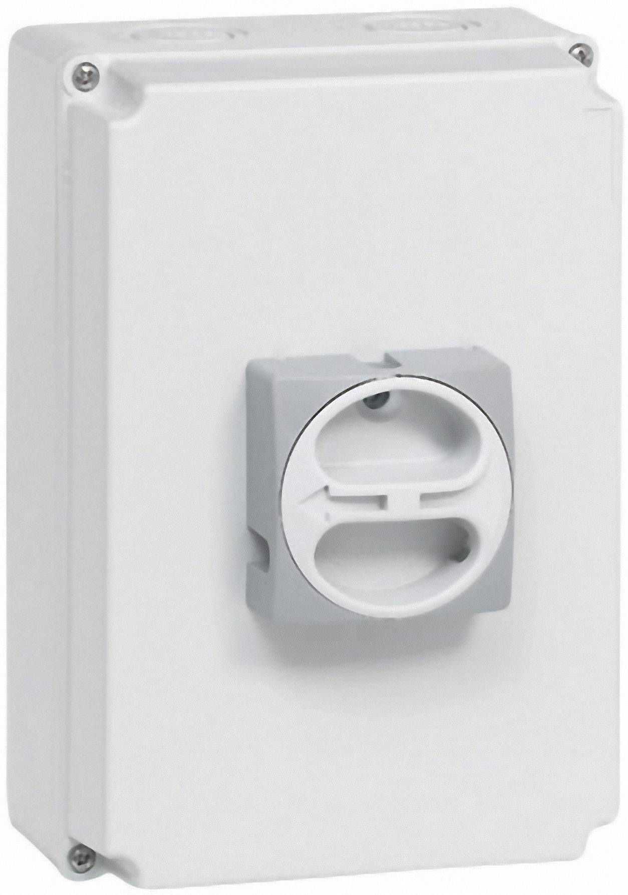 BACO 174161 Lastscheidingsschakelaar Uitschakelbaar 32 A 1 x 90 ° Grijs, Grijs 1 stuk(s) afbeelding
