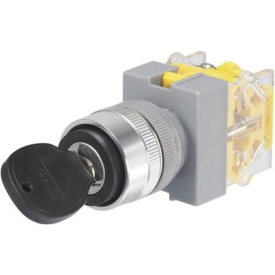 TRU COMPONENTS Y090-A-11Y/21 kľúčový spínač 250 V/AC 5 A vyp/zap 1 x 90 ° IP40 1 ks