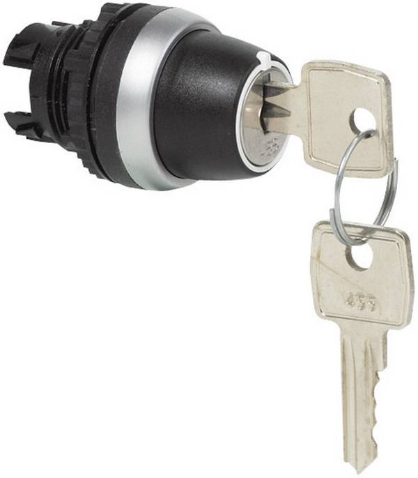 BACO L21NK00 kľúčový spínač plastový predný prstenec, pochrómované vyhotovenie  čierna, chróm 2 x 45 °  1 ks