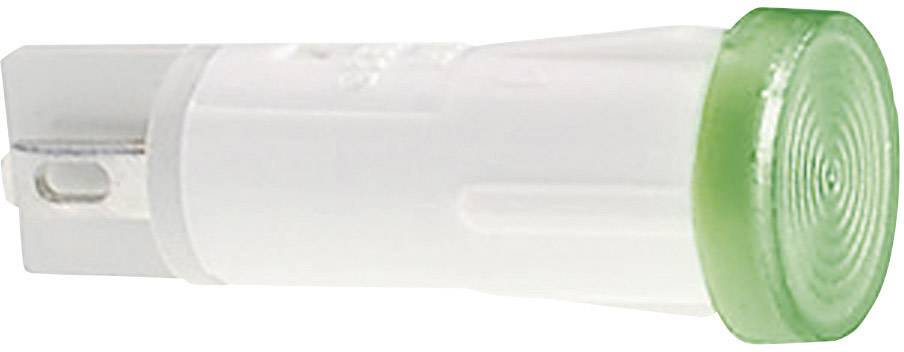 RAFI 1.69.525.216/1600 Standaard signaallamp met lamp Blauw 1 stuk(s) afbeelding