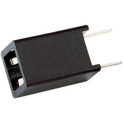 Čierny obdĺžnikový konektor s dvoma kovovými kolíkmi, vhodný pre elektronické aplikácie.