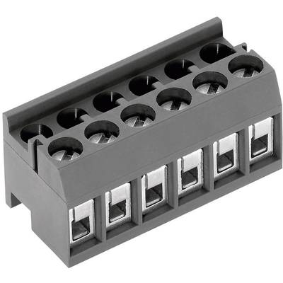 PTR Hartmann 51350040001G skrutkovacia svorka 1.50 mm² Pólov 4 sivá 1 ks
