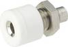 Schnepp mini laboratórne zásuvka zásuvka, vstavateľná vertikálna Ø pin: 2.6 mm biela 1 ks