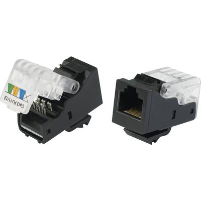 TRU COMPONENTS 93014c936 Modulárna zásuvka, bez náradia 1572349 zásuvka, rovná čierna 1 ks