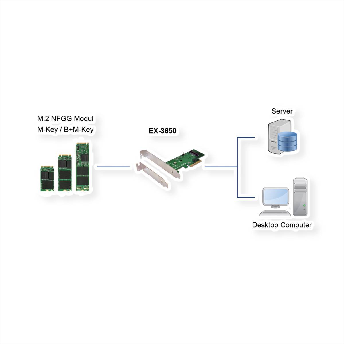 Exsys EXSYS EX-3650 PCIe Controller zu M.2 NFG PCI karta M.2 PCIe x4-1