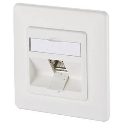 Biela sieťová zásuvka s RJ45 konektorom, namontovaná na stennej platni.