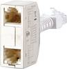 Metz Connect RJ45 sieťový Y adaptér CAT 5 [2x RJ45 zásuvka - 1x RJ45 zástrčka] strieborná