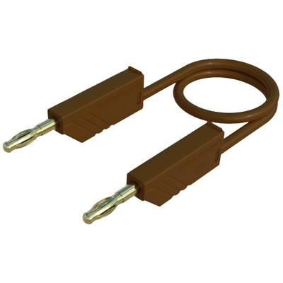 Rjast električni kabel z dvema bananastima vtičema.