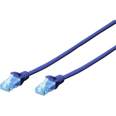 Dva modra Ethernet kabla z RJ45 priključkoma na obeh koncih, uporabljana za omrežne povezave.