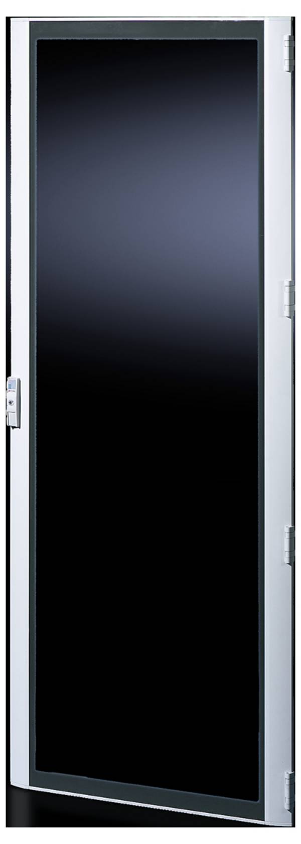 Rittal zastekljena vrata za TS, TS IT, SE – TS 8610.885 (Š x V) 800 mm x 1800 mm aluminij primerno za ohišje tipa: TS, TS IT, SE8