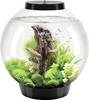 Oase 72005 biOrb CLASSIC 30 LED schwarz akvarij 30 l z LED osvetlitvijo