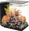 Oase 72029 biOrb FLOW 15 LED schwarz akvarij EEK: G (A - G) 15 l z LED osvetlitvijo