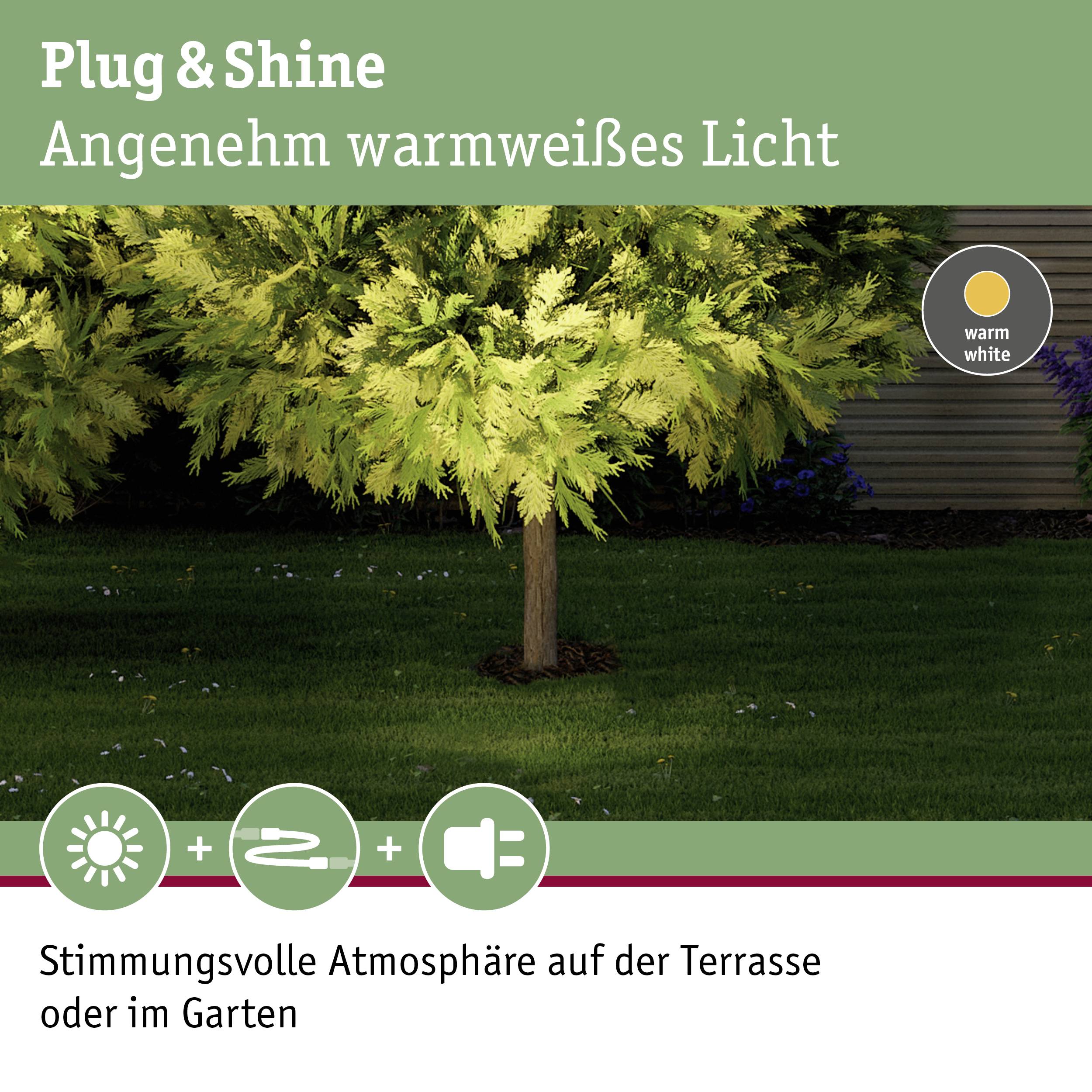 'Priključi in sij: Prijetna toplo bela svetloba. Ustvarjalna atmosfera na terasi ali v vrtu.' Drevo s toplo belo osvetlitvijo.