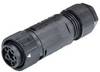 RST® MINI kabelska vtičnica RSTI164/5 46.051.4553.1 Wieland 1 kos