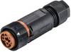 RST® MINI kabelska vtičnica RSTI164/5 46.051.4550.4 Wieland 1 kos