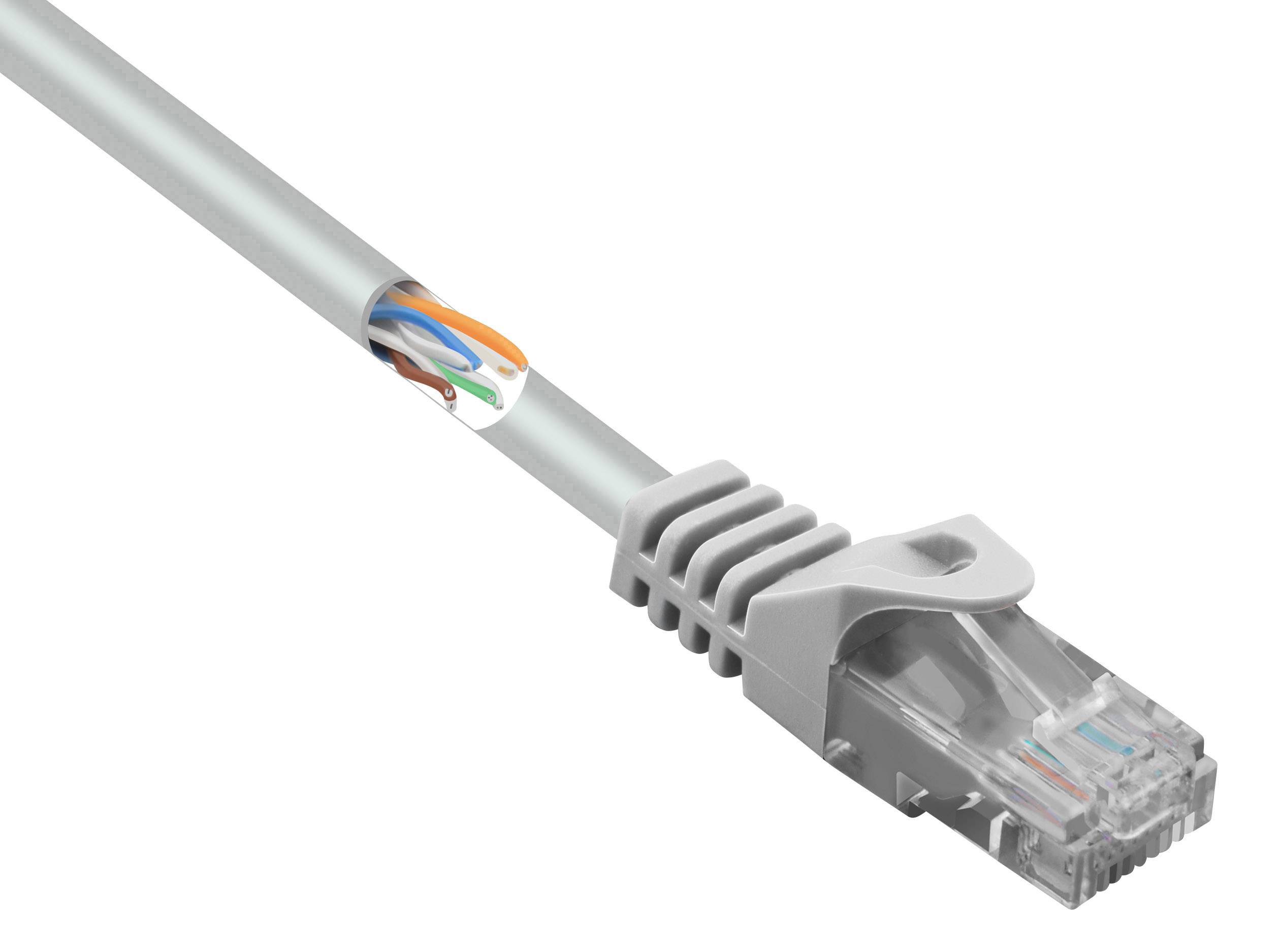 Sivo Ethernet omrežni kabel z RJ45 vtičem in barvnimi žicami v notranjosti, primeren za omrežne aplikacije.