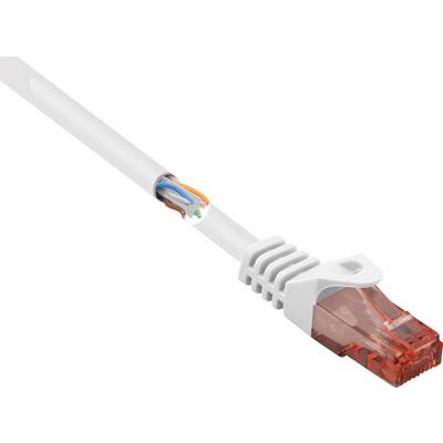 Omrežni kabel z prozornim rdečim RJ45 vtičem in vidnimi žilami, ki simbolizira internetno povezavo.