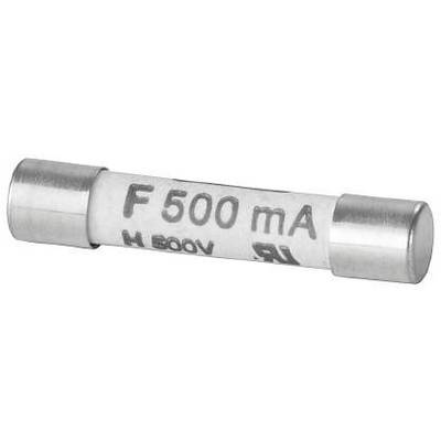 Fina varovalka z napisom 'F 500 mA', primerna za električne tokokroge do 500 V. Pomembna za električno varnost.