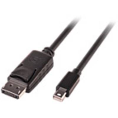 DisplayPort-Mini DisplayPort kabel, črn, z večjim vtičem na levi in manjšim vtičem na desni.