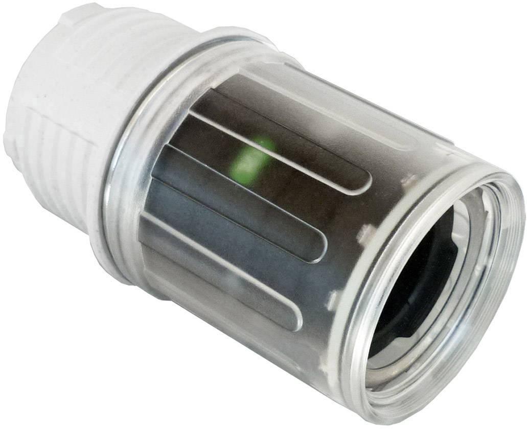 Prosojni adapter vodnega filtra iz plastike z belimi navoji. Adapter je valjaste oblike z zelenim elementom v notranjosti.
