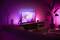 Dnevna soba s pink osvetlitvijo. Televizor prikazuje sliko rož. Rastline in dekoracije dopolnjujejo moderno opremo.