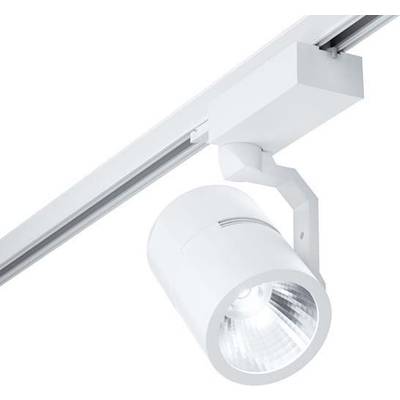 Bel LED-reflektor je nameščen na tirnico in usmerjen navzdol, primeren za sodobno notranjo razsvetljavo.
