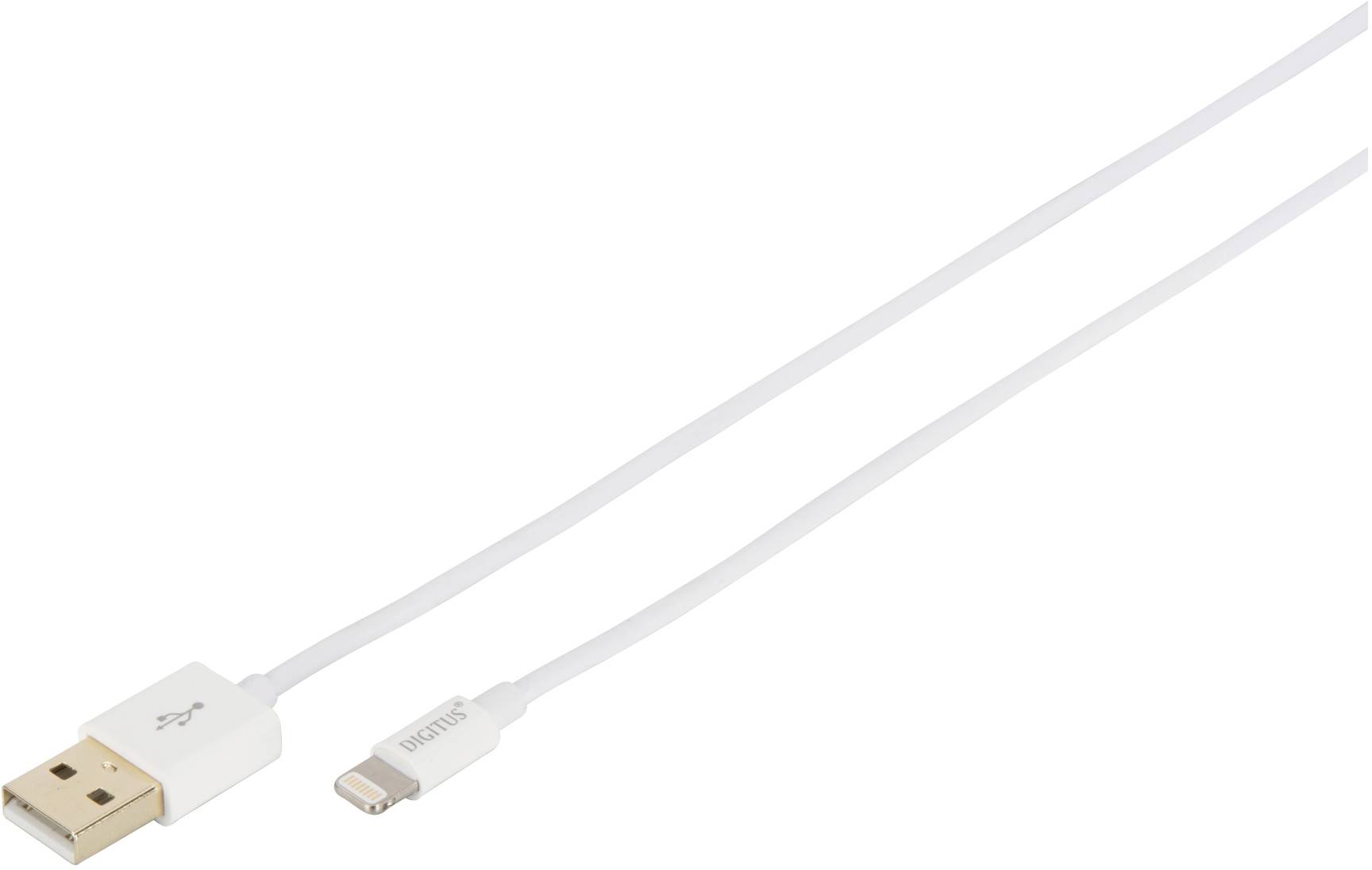 Belo polnilni kabel z USB-priključkom na eni in Lightning-priključkom na drugi strani, na beli podlagi.