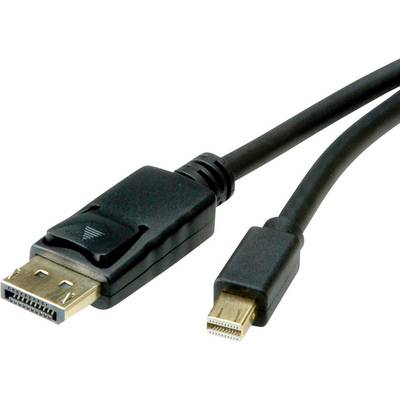 Črni kabel z DisplayPort vtičem na levi in Mini-DisplayPort vtičem na desni. Povezuje računalnike z monitorji za prenos videosignala.