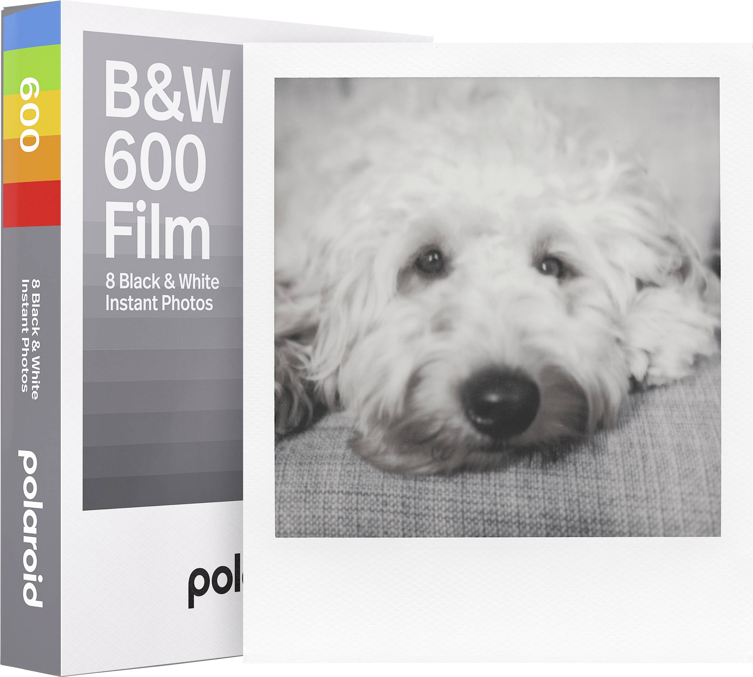 Pakiranje Polaroid B&W 600 filma z 8 črno-belimi trenutnimi fotografijami. Poleg tega fotografija belega psa na blazini.