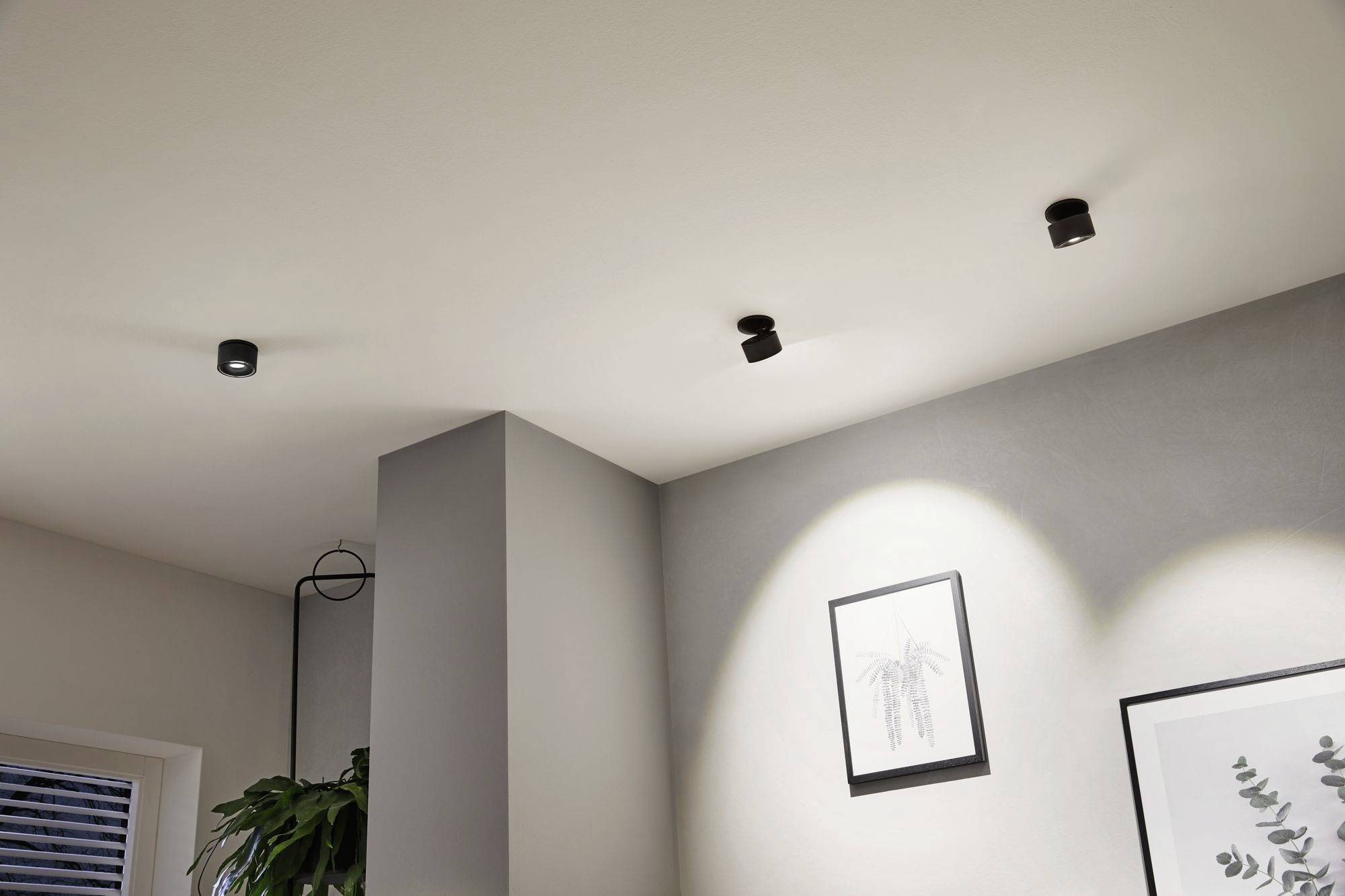 Več črnih LED stropnih reflektorjev osvetljuje sodoben, minimalistično zasnovan košček dnevne sobe z rastlino in uokvirjeno umetniško sliko na steni.
