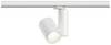 Paulmann ProRail3 Zeuz 33W 15° 3000K W triac sistem svetil (osnova) ProRail3 33 W LED bela