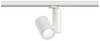Paulmann ProRail3 Zeuz 33W 15° 4000K W triac sistem svetil (osnova) ProRail3 33 W LED bela
