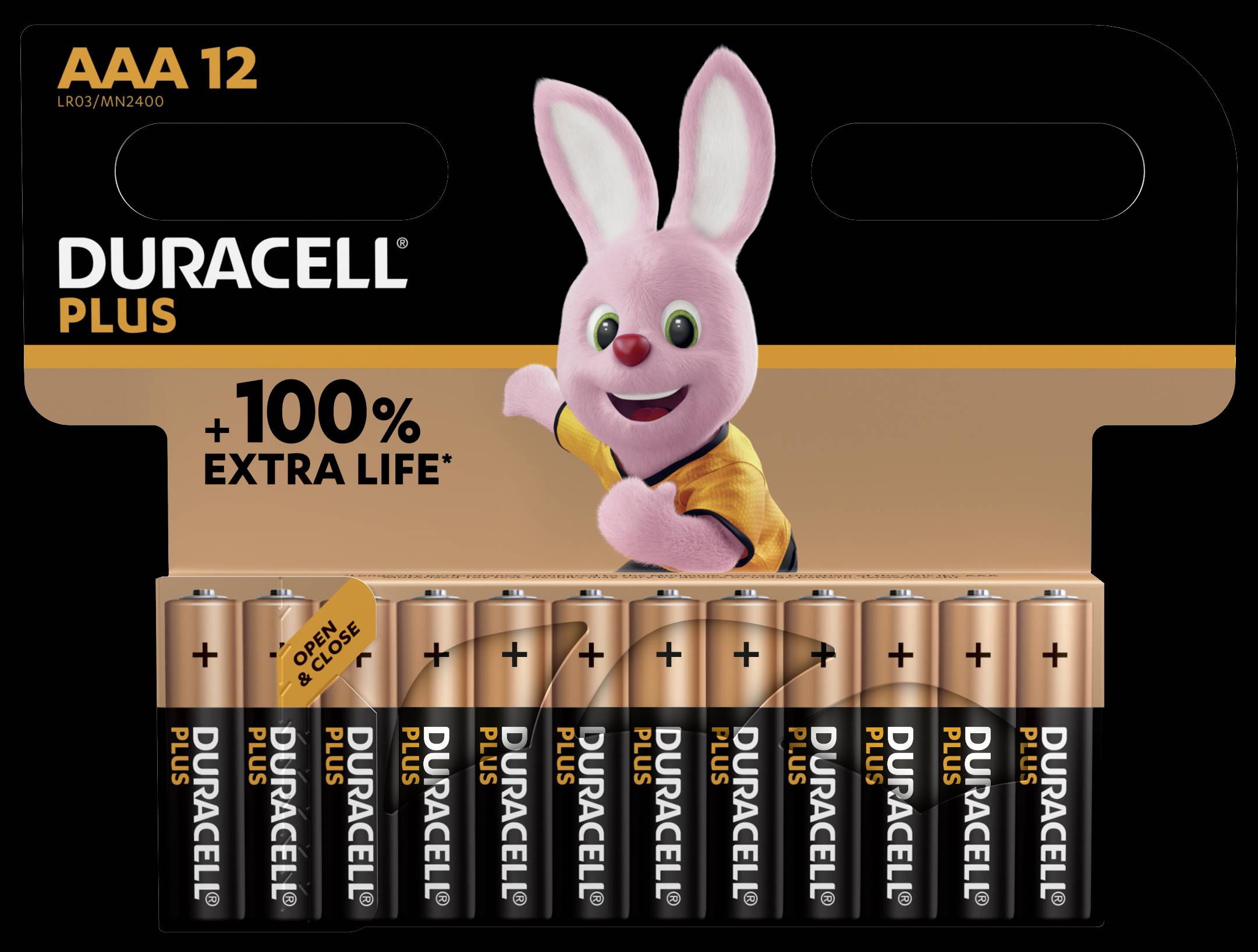 Duracell Plus-AAA CP12 micro (AAA)-baterija alkalno-manganov 1.5 V 12 kos