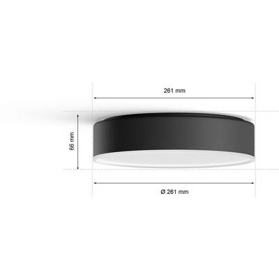 Stropna svetilka z okroglim dizajnom, črna, premer 261 mm, višina 66 mm, primerna za montažo na strop v prostorih.