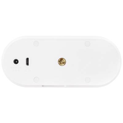 Zadnja stran bele naprave z omrežnim in USB-C priključkoma ter centralno medeninasto pritrdilno vijačno.
