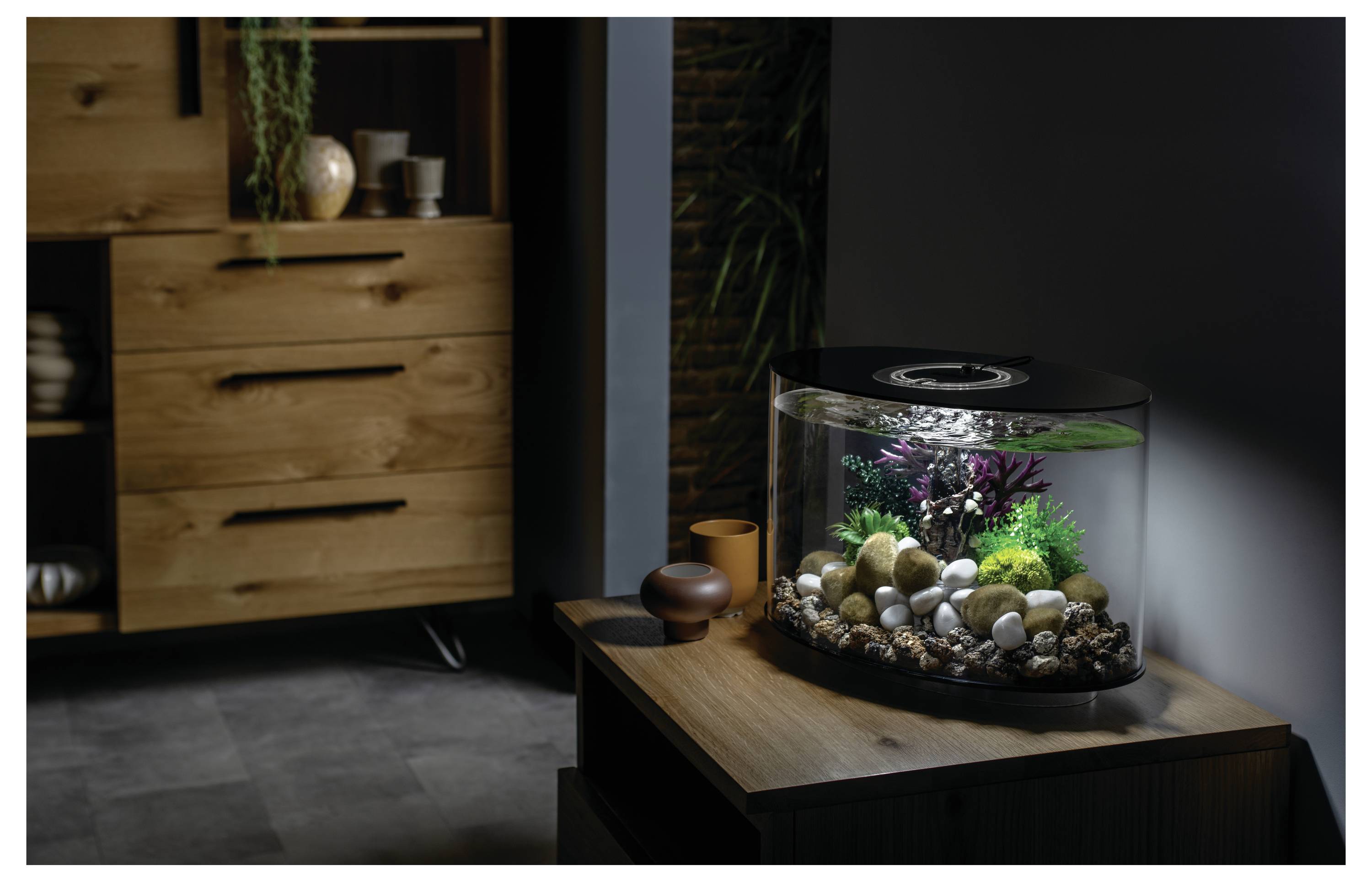 Majhen akvarij z barvitimi rastlinami in skalami je postavljen na leseno omarico v slabo osvetljeni sobi z lesenim pohištvom.