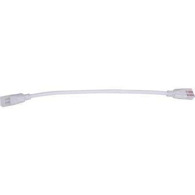 Bel Ethernet kabel z RJ45 konektorji na obeh koncih