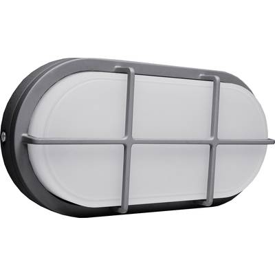 Ovalna stenska svetilka s sivim kovinskim okvirjem in belim difuzorjem, primerna za notranje in zunanje prostore.