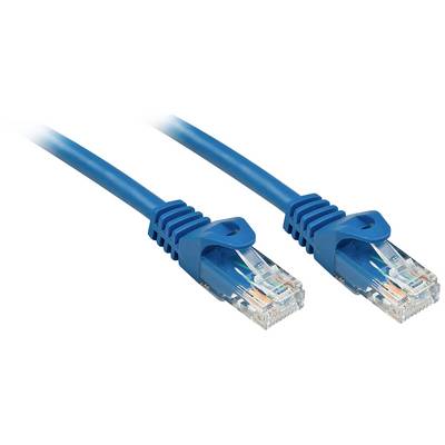 Dve modri eternet kabli z RJ45 vtiči, ki se lahko uporabljata za omrežne povezave.