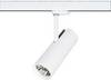 Brumberg 88393173 88393173 LED reflektorji za sistem vodil LED 23 W bela