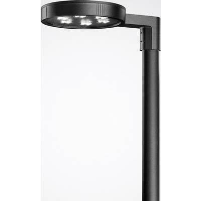 Črna cestna svetilka z okroglo LED svetlobno glavo, nizke stopnje detajlov, na beli podlagi.
