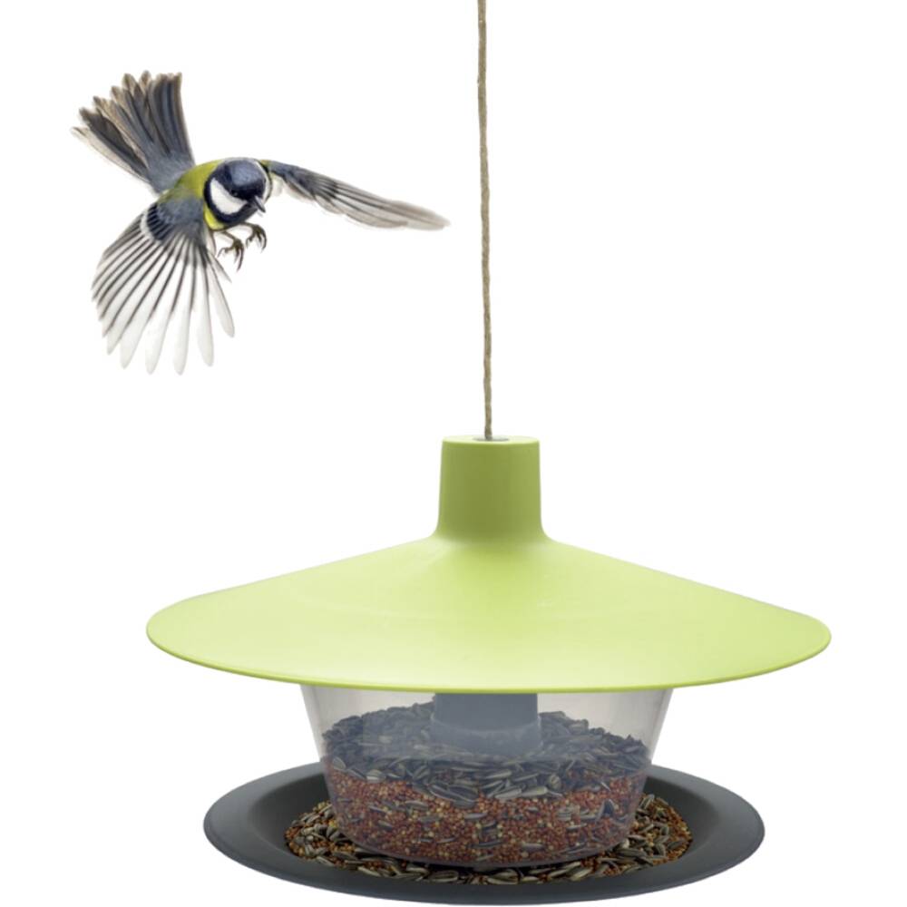 Ptica leti proti viseči zeleni krmilnici za ptice, ki je napolnjena z različnimi semeni.