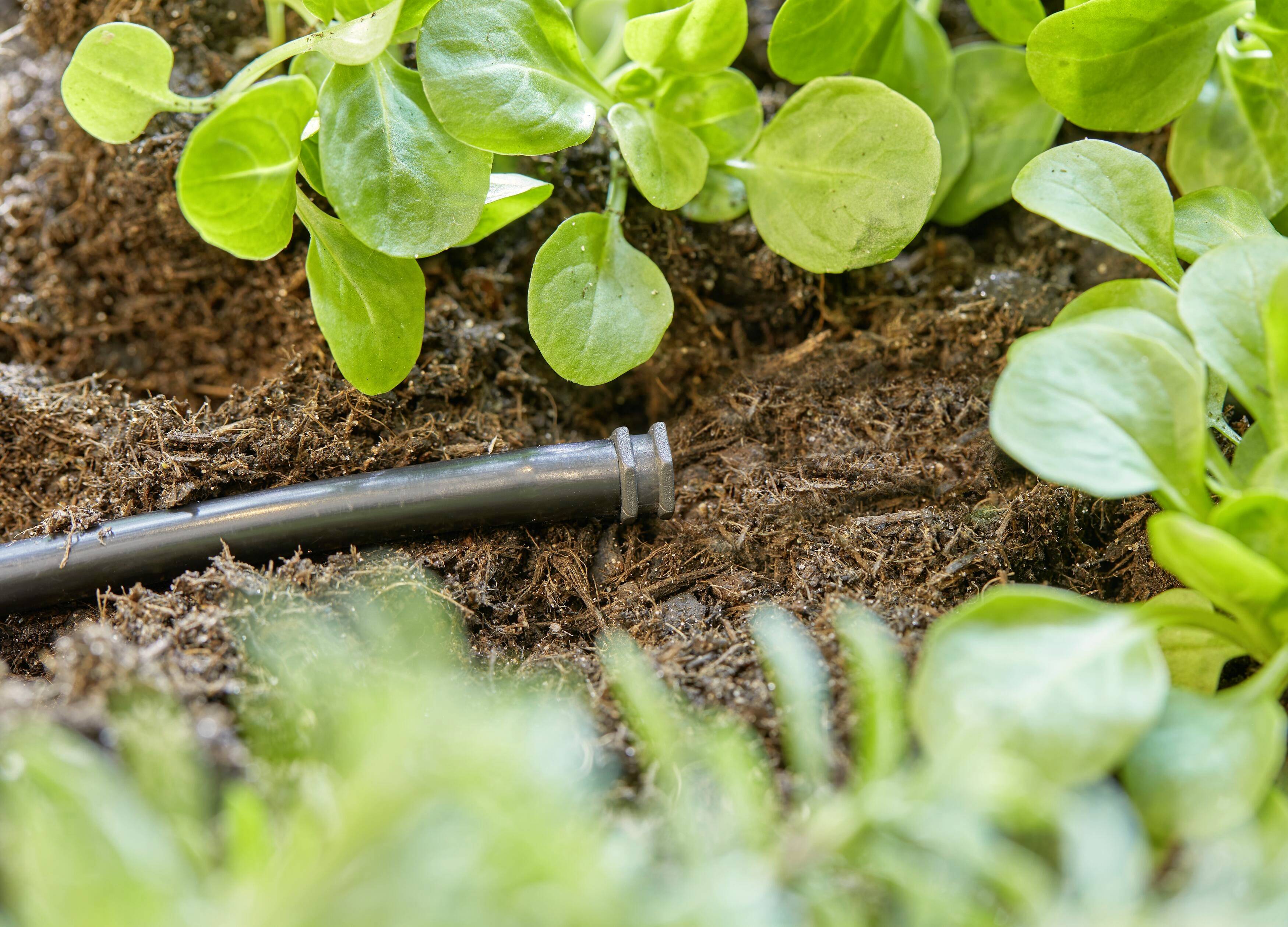 GARDENA sistem mikro-kapljanja 13215-20 tesnilni čep 4,6 mm (3/16")-2
