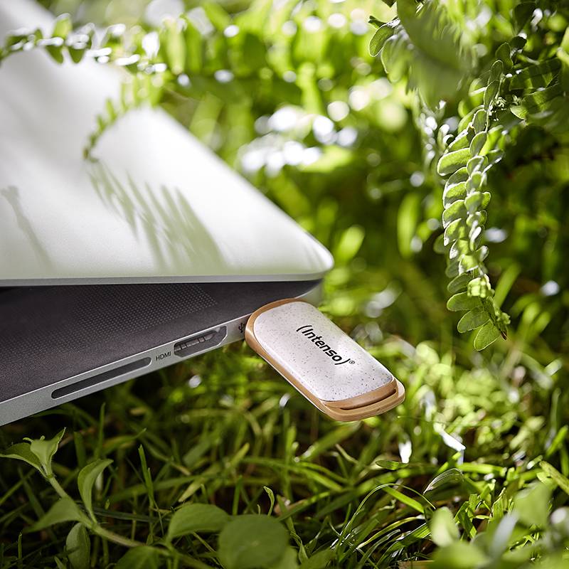 USB ključek z napisom 'Intenso' je vtaknjen v prenosnik, ki leži na zeleni, liste obdani površini.
