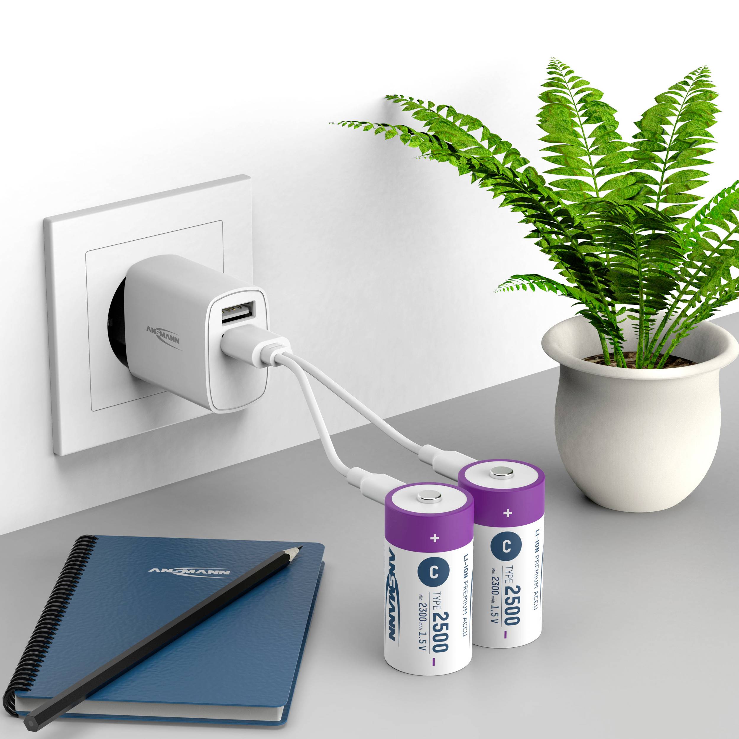 Polnilnik je vtaknjen v električno vtičnico. Dve bateriji AA sta povezani prek USB kabla. Poleg baterij stoji rastlina in beležnica.